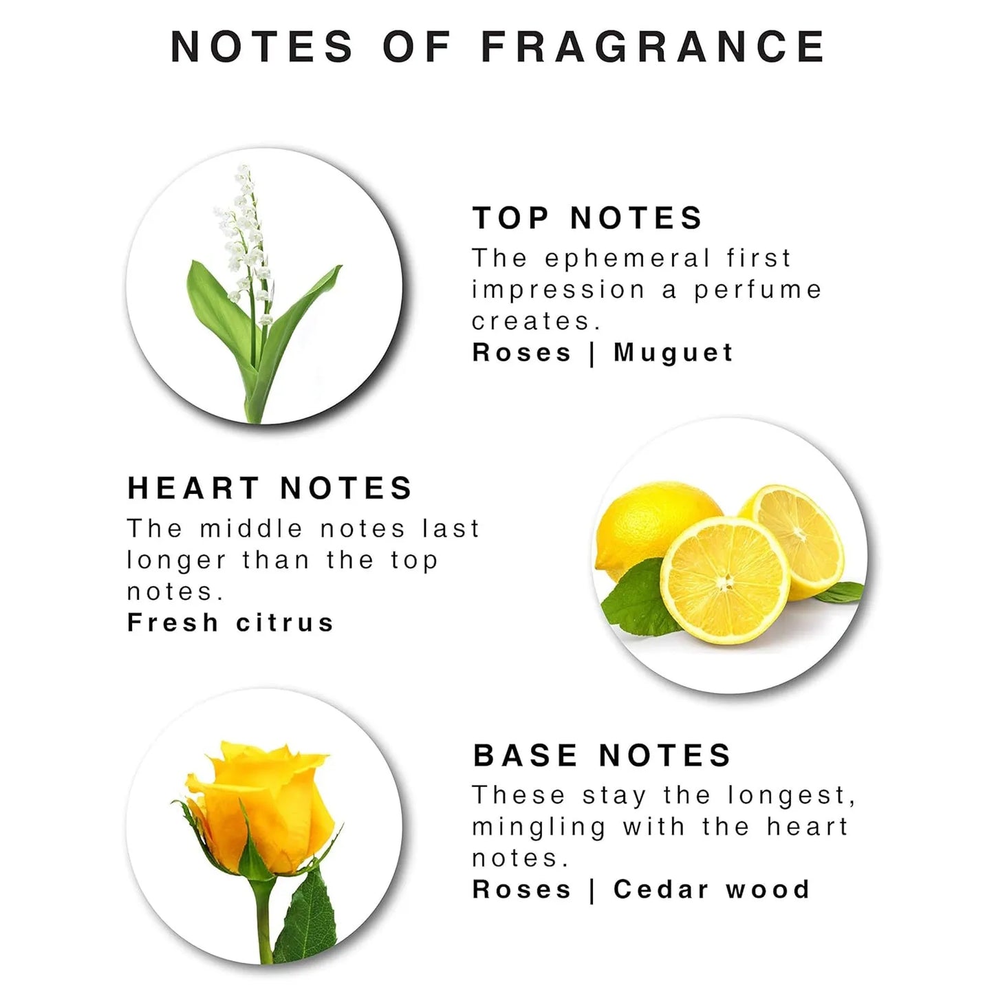 Enchanteur Charming Perfume For Women EDT 18ml